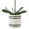 24" Real Touch™ Pink Orchid in a Striped Ceramic Pot
